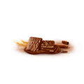 LAMI-WAFER